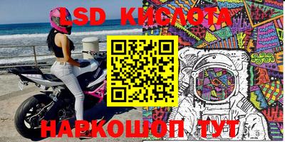 ПСИЛОЦИБИНОВЫЕ ГРИБЫ Новозыбков