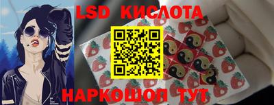 гидропоника Новокубанск