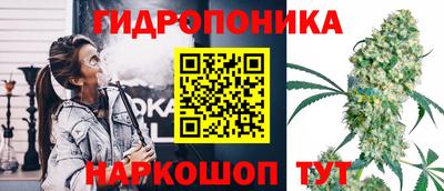 гидропоника Новокубанск