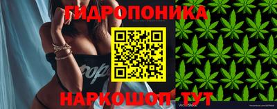 герыч Новодвинск