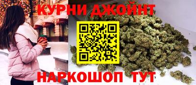 ПСИЛОЦИБИНОВЫЕ ГРИБЫ Новозыбков